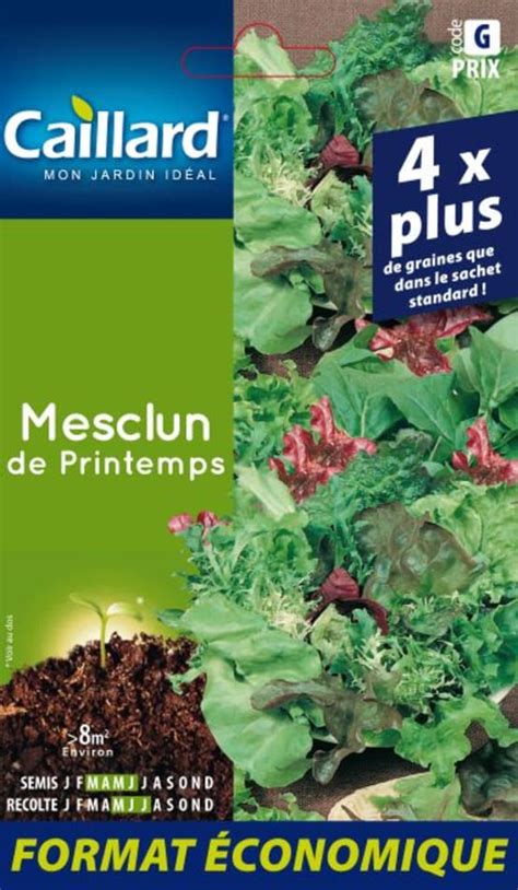 Graines De Mesclun De Printemps Caillard Gamm Vert