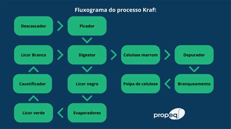 Os desafios e inovações da indústria de papel e celulose Propeq