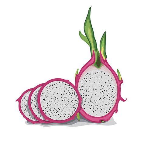 Pink Dragonfruit Illustrations Royalty Free Vector Graphics And Clip Art Istock