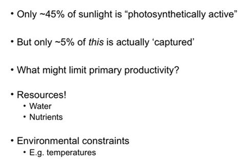 Ecosystem Ecology Flashcards Quizlet