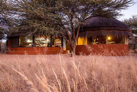 Okonjima Nature Reserve Naturally Namibia