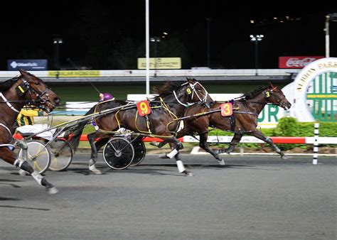 Latest USTA Harness Racing Entries and Race Results 24