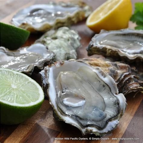 Simply Oysters - UK's Widest Selection of Oysters | UK Delivery