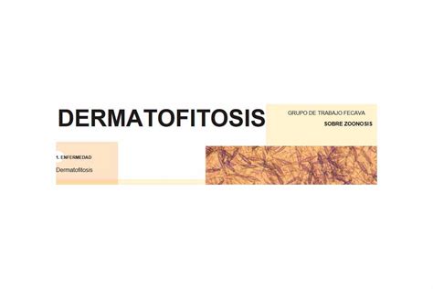 Signos Clínicos De La Dermatofitosis Im Veterinaria