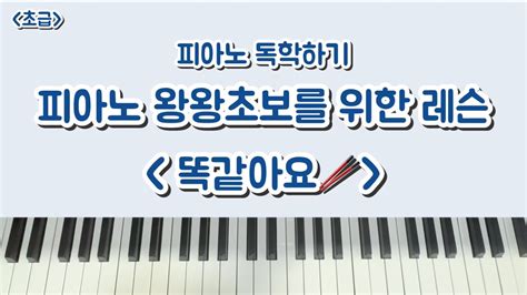 왕초보 피아노 배우기 똑같아요🥢 피아노독학 피아노레슨🎹 Youtube