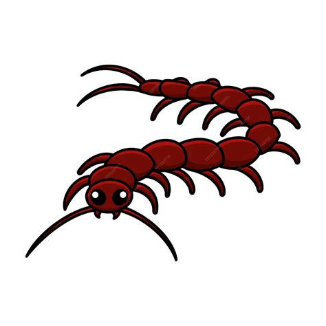 Premium Vector Centipede Vector Illustration