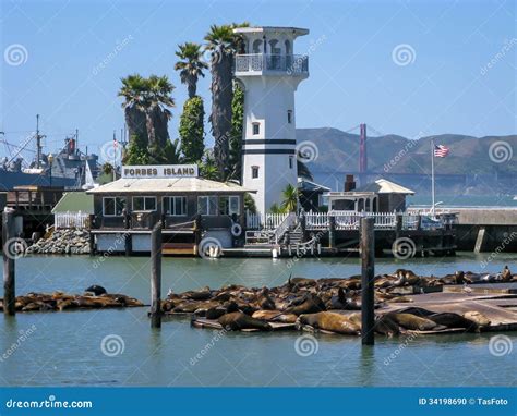 Sea Lions, Fisherman S Wharf, San Francisco Stock Photo - Image of ...