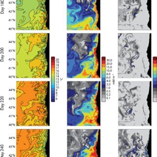 Evolution Of The Surface Expression Of Temperature Phytoplankton And