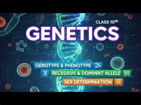 Genetics Some Basic Fundamentals Class 10 ICSE Biology Sex