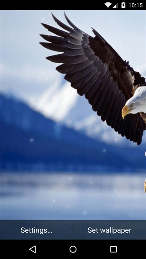 Aplicación Eagle Live Wallpaper Hd En Amazon Appstore