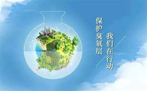 消耗臭氧层物质管理条例2023最新修订 行政法规 律科网