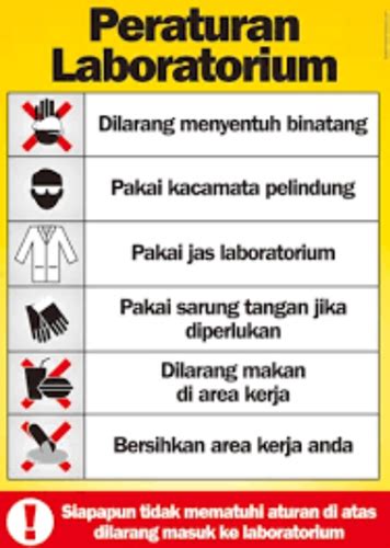 Dalam Kelompok Kecil Pilihlah Salah Satu Peraturan Keselamatan