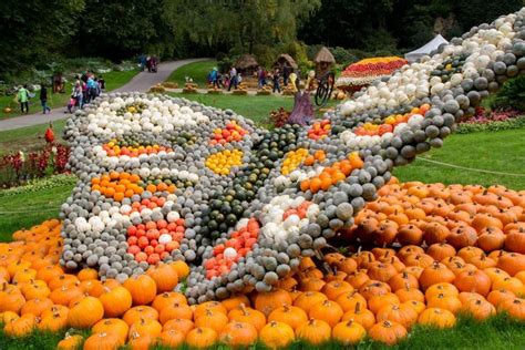 Splashing About The Ludwigsburg Pumpkin Festival Germany In