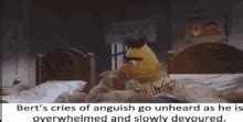 Angry Bert GIFs | Tenor