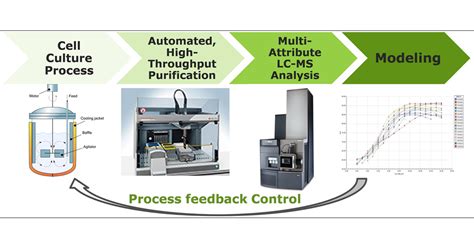 High Throughput Automated Protein A Purification Platform With