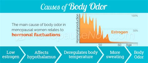 Changes in Body Odor Symptom Information | Menopause Now