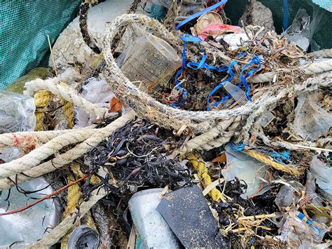 Marine Debris March Fishers Island Conservancy