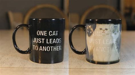 15 Best Heat Changing Mugs