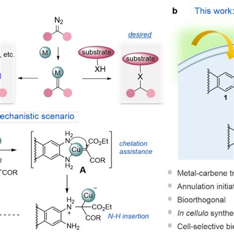 Copper Carbene Mediated Synthesis Of Quinoxalines 3 A Further