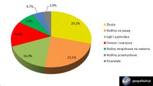 Rolnictwo Ekologiczne W Polsce Geografia24 Pl