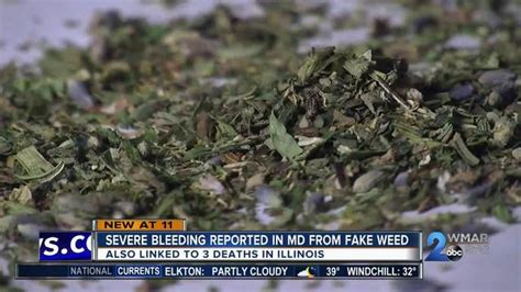 Severe Bleeding From Weed Reported In Maryland