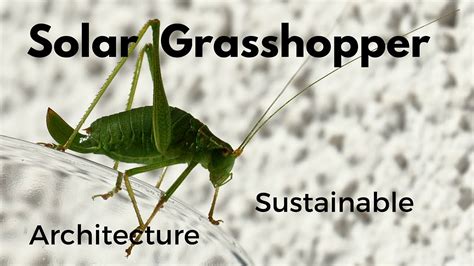 Solar Grasshopper To Illustrate How Solar Power Works To Spin An