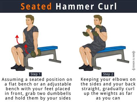 Seated Hammer Curls What Is It How To Do Benefits