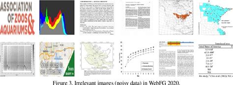 Tips And Tricks For Webly Supervised Fine Grained Recognition Learning