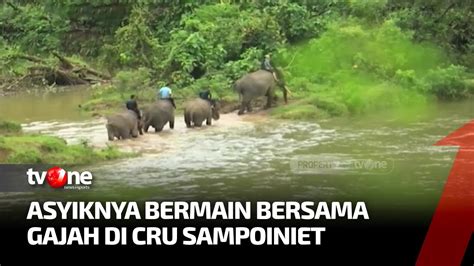 CRU Sampoiniet Aceh Jaya Penyeimbang Kelestarian Alam Pesona