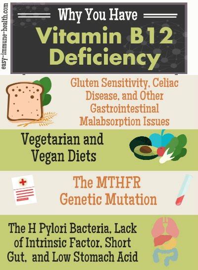 Causes of B12 Deficiency Can Be Found and Fixed