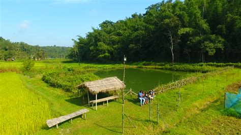 Best Nature Resort in Wayanad - Farm House Resort - LiveKerala