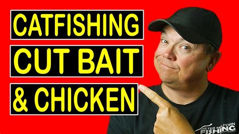 Catfish Fishing With Cut Bait And Chicken YouTube