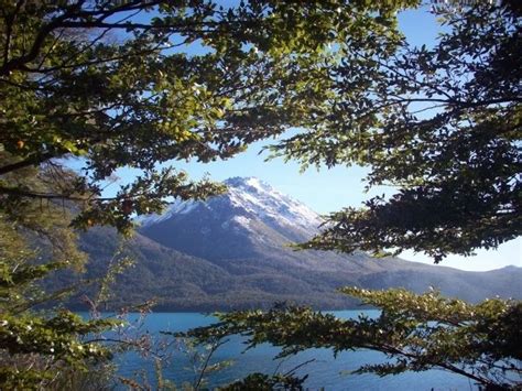 Parque Nacional Los Alerces Chubut Argentina National Forest Mount