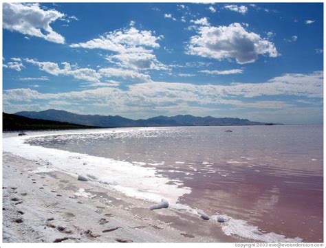 Footsteps on the shore of the Great Salt Lake, near the Spiral Jetty ...