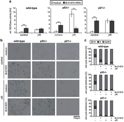 Effect Of The Rsk Inhibitor Bi D On Ir Induced Stress Responses