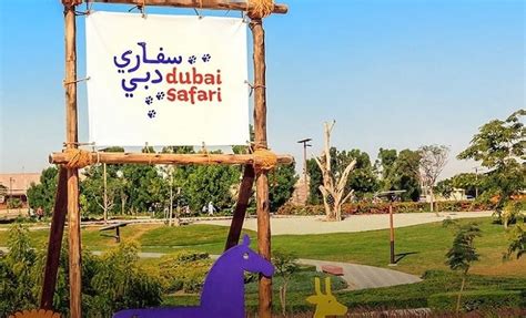 Safari Park Dubai The Things You Should Not Miss Complete Guide 2023