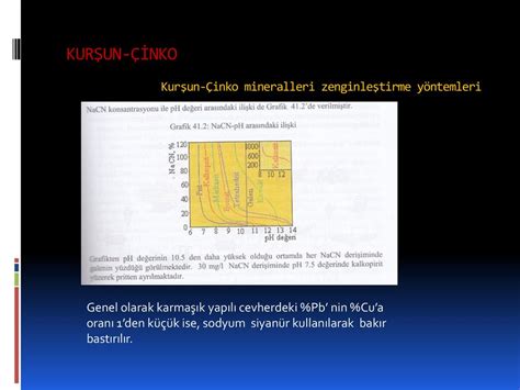 Danışman Prof Dr Muammer Kaya ppt indir