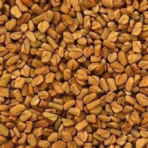 Variety Mustard Seed Fenugreek Seeds Methi Dana At Best Price In Bengaluru