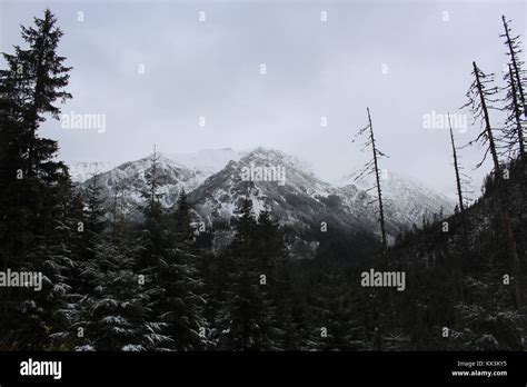 Early winter in Tatra Mountains in Poland Stock Photo - Alamy