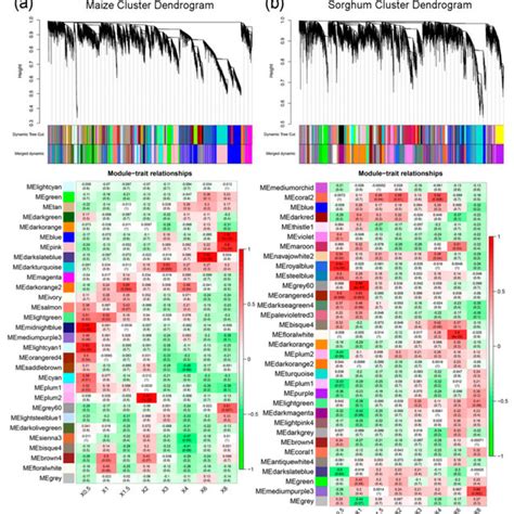 Weighted gene co-expression network analysis (WGCNA) based on gene ... 