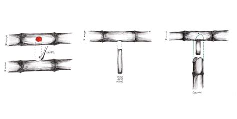 Your Handy Guide To Crafting Bamboo Fish Mouth Joints Bamboo U