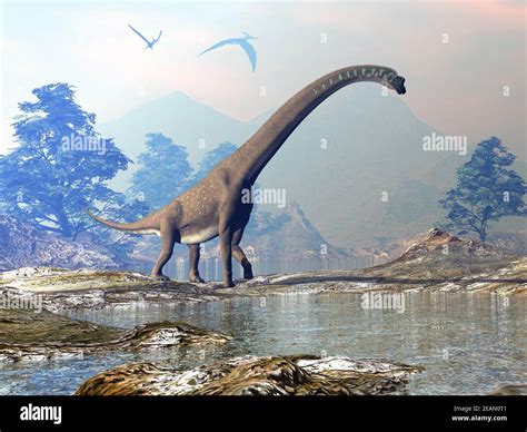 Giraffatitan dinosaur - 3D render Stock Photo - Alamy