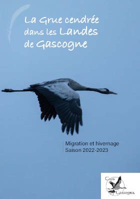 D Couvrez Le Suivi D Hivernage De La Grue Cendr E Lpo Ligue Pour