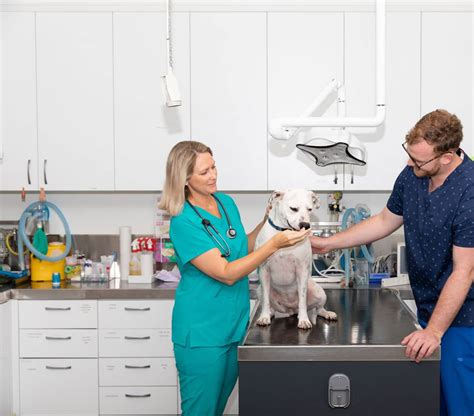 The Best Scrubs For Vets Veterinary And Vet Nurse New Zealand