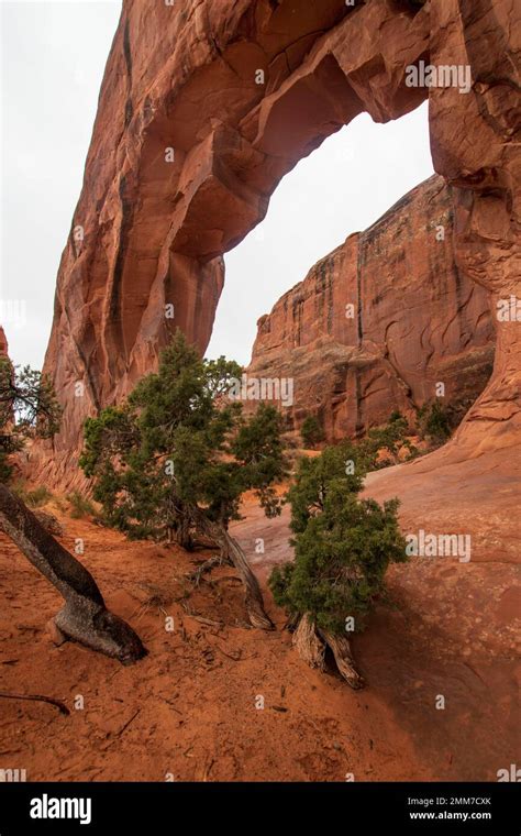 Pine Tree Arch Is One Of Many Arches In The Devil S Garden Area Of