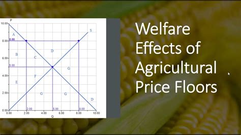 Welfare Effects Of Agricultural Price Floors Youtube