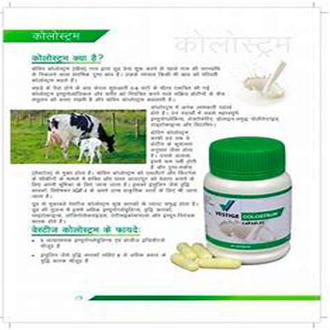 Vestige Colostrum Capsules Packaging Type Plastic Container At Rs 720 Unit In Repalle