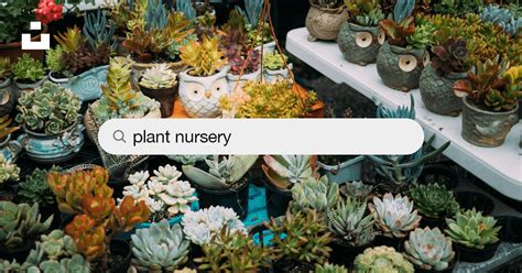 999 Plant Nursery Pictures Download Free Images On Unsplash