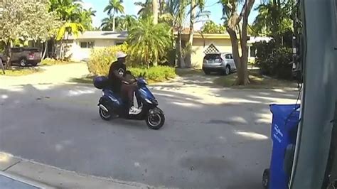 Scooter Riding Necklace Thief Arrested Hollywood Police Say Youtube