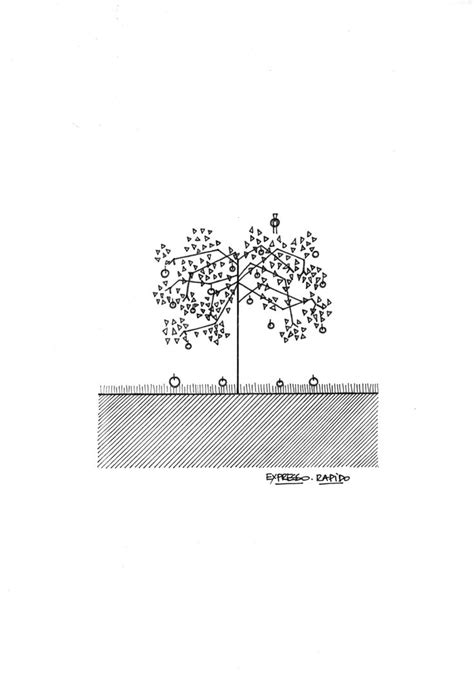 Peuplier Paysage Dessin Original Par Expresso Rapido Noir Et